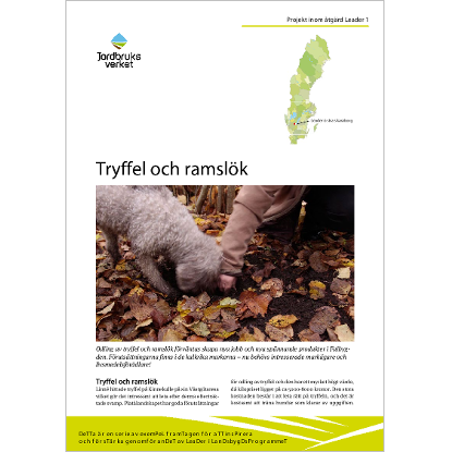 Omslags bild fr Tryffel och ramslk