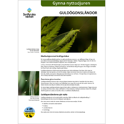 Omslags bild fr Guldgonslndor, gynna nyttodjuren