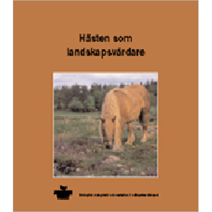 Omslags bild fr Hsten som landskapsvrdare