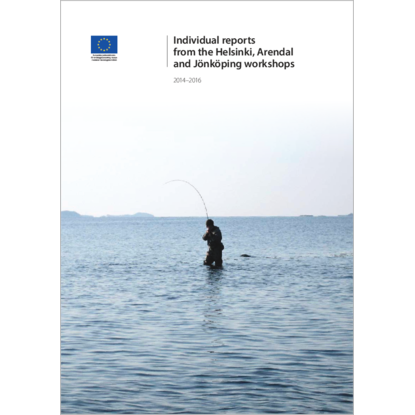 Omslags bild fr Individual reports from Helsinki, Arendal and Jnkping workshops