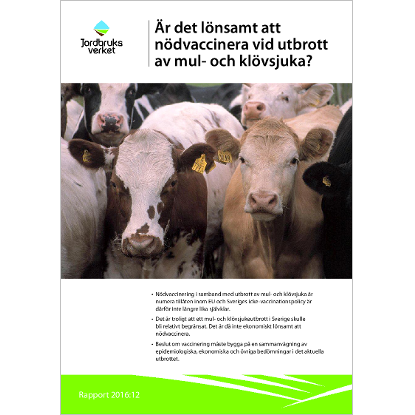 Omslags bild fr r det lnsamt att ndvaccinera vid utbrott av mul- och klvsjuka