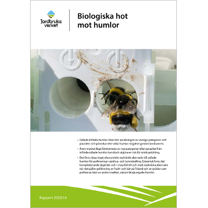 Omslags bild fr Biologiska hot mot humlor